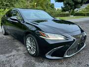 2019 LEXUS ES