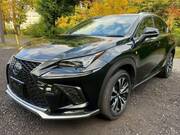 2019 LEXUS NX