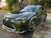 2020 LEXUS UX