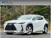 2019 LEXUS UX