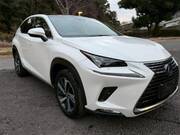 2019 LEXUS NX
