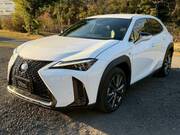 2019 LEXUS UX