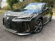 2019 LEXUS UX