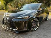 2020 LEXUS UX