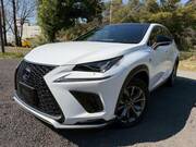 2018 LEXUS NX
