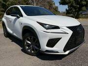 2019 LEXUS NX