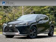 2019 LEXUS UX