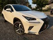 2019 LEXUS NX