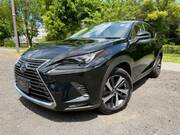 2019 LEXUS NX