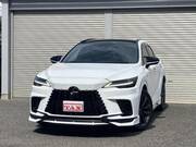 2025 LEXUS RX