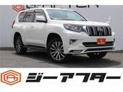 2019 TOYOTA LAND CRUISER PRADO