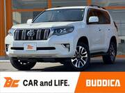 2021 TOYOTA LAND CRUISER PRADO