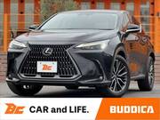 2024 LEXUS NX