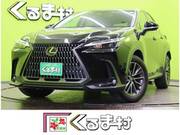 2024 LEXUS NX