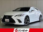 2019 LEXUS ES
