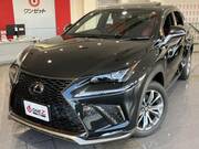 2020 LEXUS NX