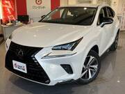 2018 LEXUS NX