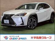 2019 LEXUS UX