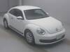 VOLKSWAGEN THE BEETLE