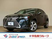 2023 LEXUS UX