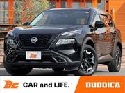 2022 NISSAN X-TRAIL