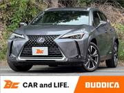 2019 LEXUS UX