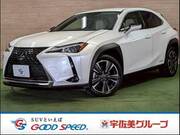 2019 LEXUS UX