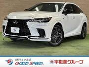 2023 LEXUS RX
