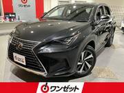 2019 LEXUS NX