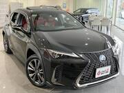 2021 LEXUS UX