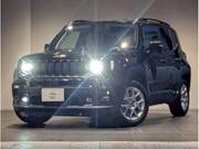 2025 CHRYSLER JEEP RENEGADE
