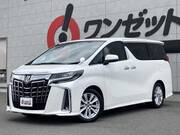 2019 TOYOTA ALPHARD