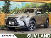 2022 LEXUS NX