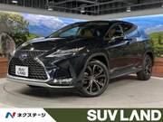2021 LEXUS RX