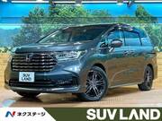 2024 HONDA OTHER
