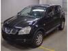 NISSAN DUALIS