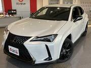 2021 LEXUS UX