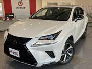 2019 LEXUS NX