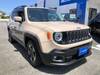 CHRYSLER JEEP RENEGADE