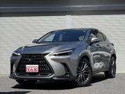 2023 LEXUS NX