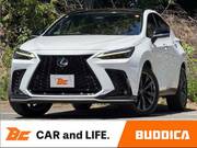2023 LEXUS NX