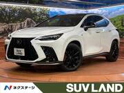 2025 LEXUS NX