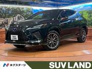 2021 LEXUS RX