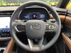 LEXUS OTHER