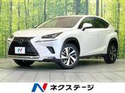2019 LEXUS NX