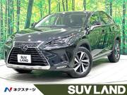 2019 LEXUS NX