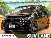 2021 HONDA OTHER