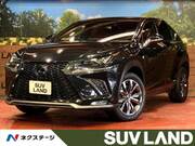 2019 LEXUS NX