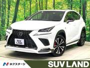 2018 LEXUS NX