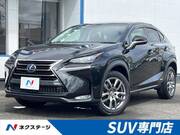 2016 LEXUS NX